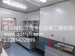 藤和凈化供應(yīng)專業(yè)的青島潔凈廠房施