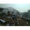 有品質的智能溫室建造山東提供    -建設智能溫室大棚