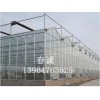 玻璃溫室大棚建造找哪家——冬暖式日光溫室