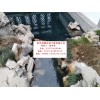 常州市小區(qū)景觀河水凈化過濾循環(huán)增氧工程,365天不用換一滴水