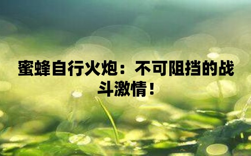 蜜蜂自行火炮：不可阻擋的戰(zhàn)斗激情！