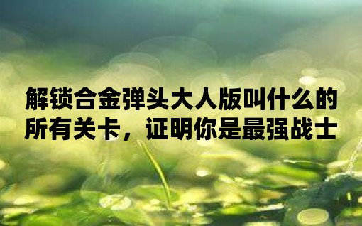 解鎖合金彈頭大人版叫什么的所有關卡，證明你是最強戰士