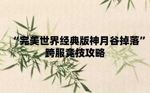 “完美世界經典版神月谷掉落”跨服競技攻略