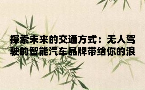 探索未來(lái)的交通方式：無(wú)人駕駛的智能汽車(chē)品牌帶給你的浪漫之旅